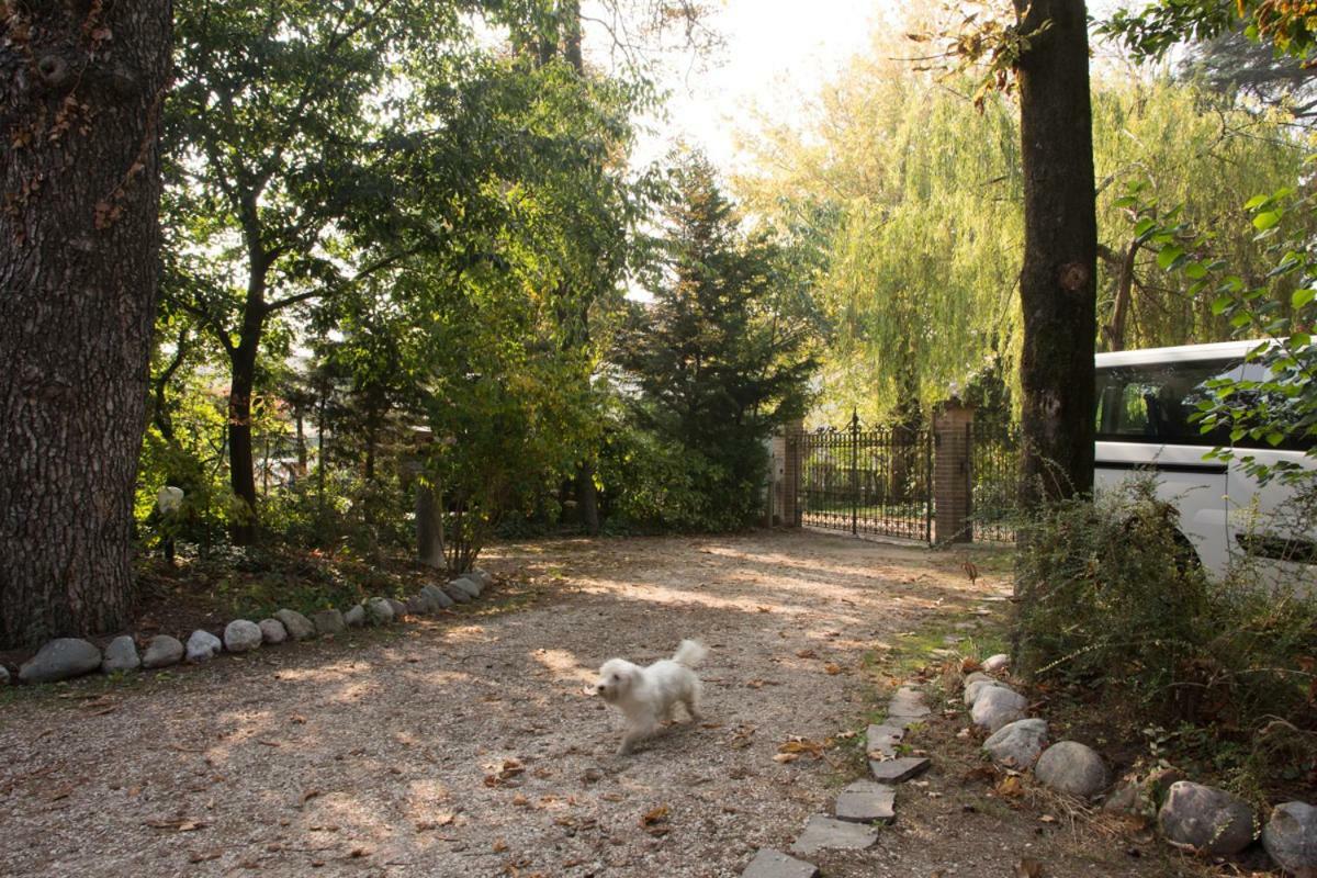 Al Parco Bed & Breakfast Curtatone Bagian luar foto